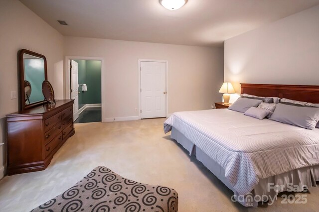 1253 Iverleigh Trl, Charlotte, NC 28270 - photo 46