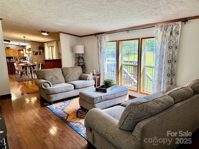9 Henry White Ln, Leicester, NC 28748 - photo 6