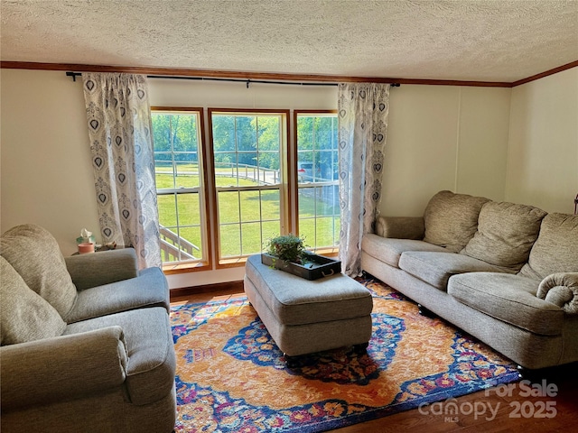 9 Henry White Ln, Leicester, NC 28748 - photo 7