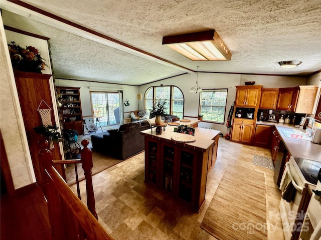 9 Henry White Ln, Leicester, NC 28748 - photo 13