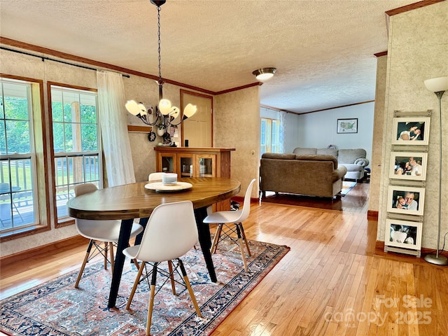 9 Henry White Ln, Leicester, NC 28748 - photo 15