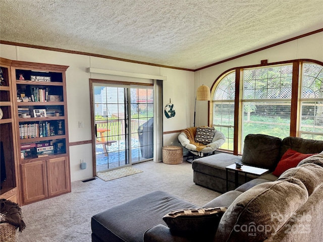 9 Henry White Ln, Leicester, NC 28748 - photo 18