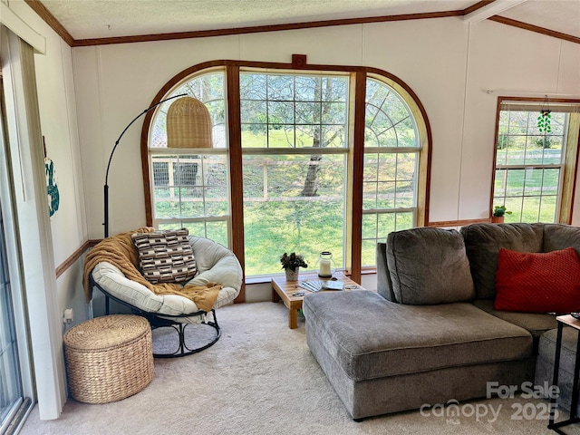 9 Henry White Ln, Leicester, NC 28748 - photo 19