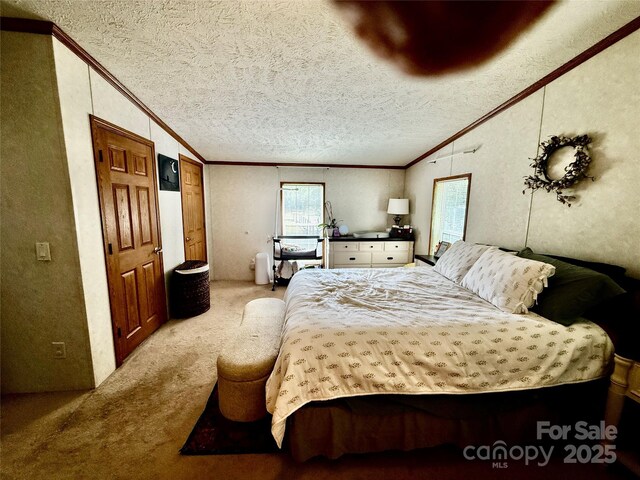 9 Henry White Ln, Leicester, NC 28748 - photo 22
