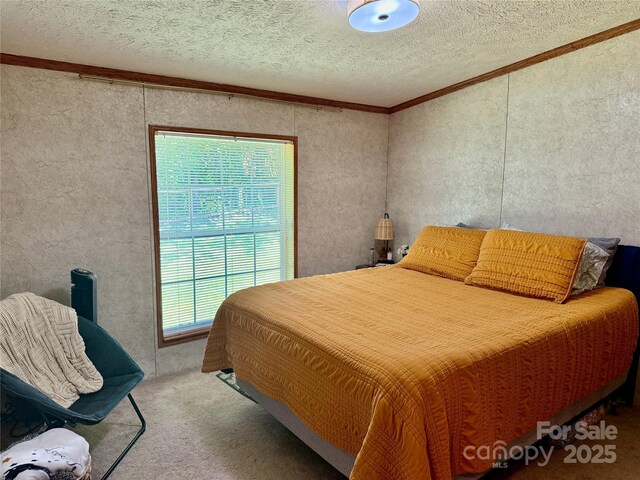 9 Henry White Ln, Leicester, NC 28748 - photo 30