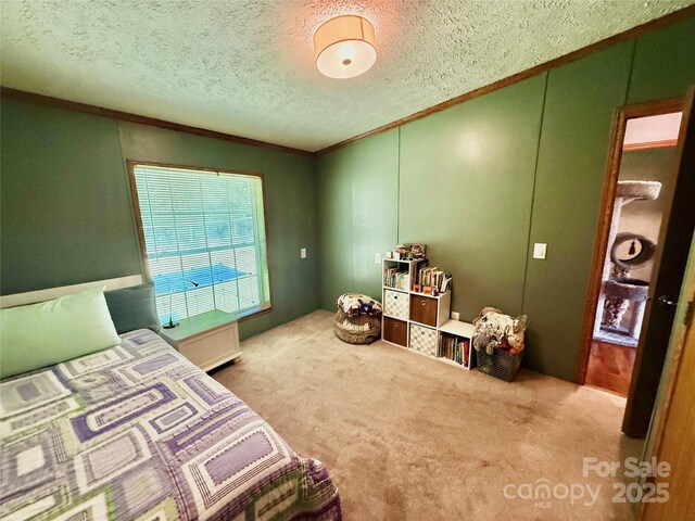 9 Henry White Ln, Leicester, NC 28748 - photo 33