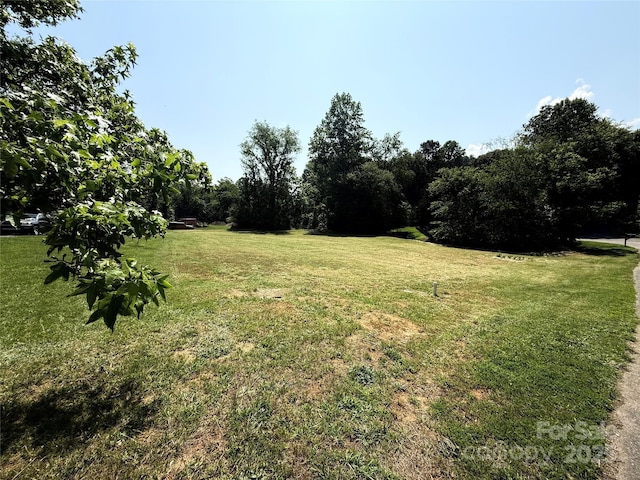 9 Henry White Ln, Leicester, NC 28748 - photo 42