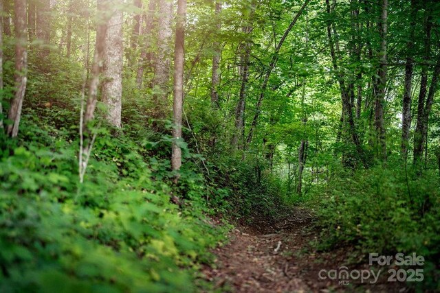 0000 W Garden Trl Lot 66, Hendersonville, NC 28792 - photo 7
