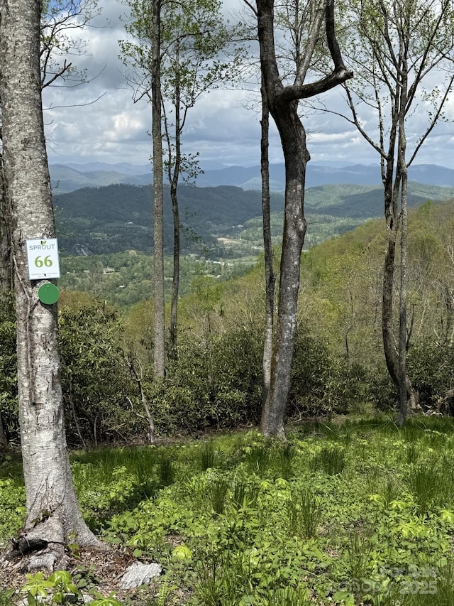 0000 W Garden Trl Lot 66, Hendersonville, NC 28792 - photo 3