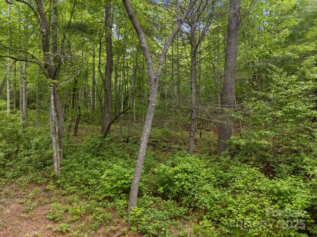 000 Red Fox Ln Unit 19, Flat Rock, NC 28731