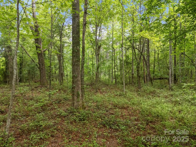 000 Red Fox Ln Unit 19, Flat Rock, NC 28731