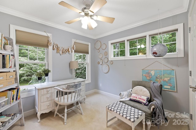 226 Duncan Estate Dr, Fletcher, NC 28732 - office with light colored carpet, ornamental molding, baseboards, and a ceiling fan
