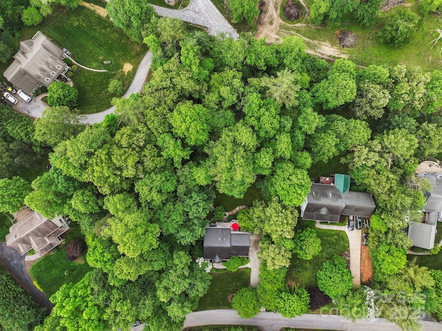 226 Duncan Estate Dr, Fletcher, NC 28732 - aerial view of property and surrounding area