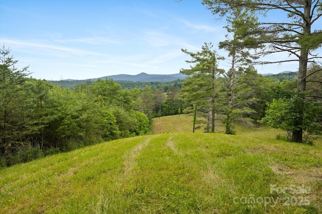 942 Paint Fork Rd, Mars Hill, NC 28754