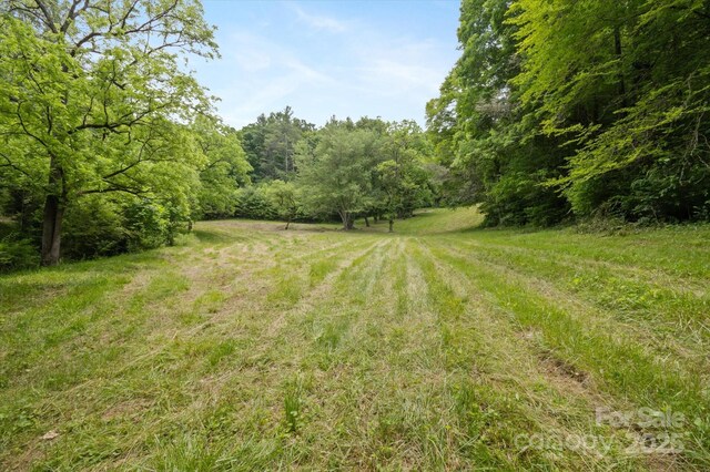 942 Paint Fork Rd, Mars Hill, NC 28754