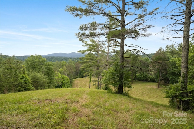 942 Paint Fork Rd, Mars Hill, NC 28754