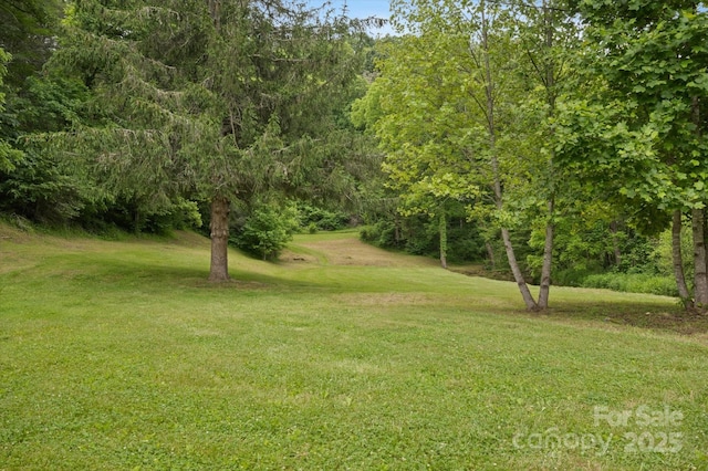 942 Paint Fork Rd, Mars Hill, NC 28754