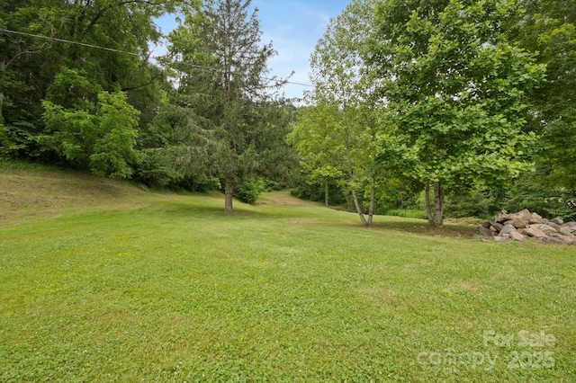 942 Paint Fork Rd, Mars Hill, NC 28754