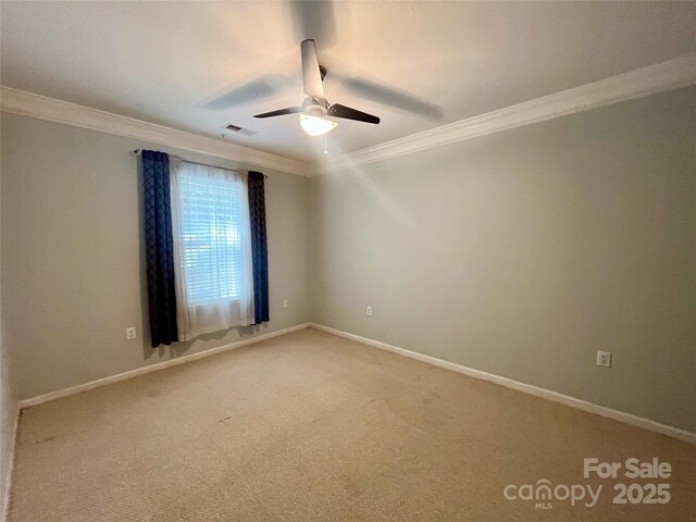415 Appeldoorn Cir, Asheville, NC 28803 - photo 13