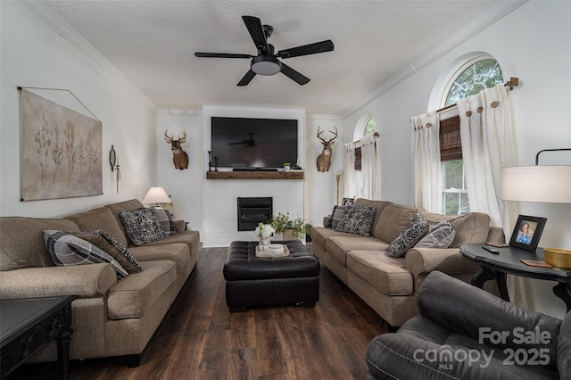 1575 Lewis Farm Rd, Kings Mountain, NC 28086 - living room with crown molding, wood finished floors, ceiling fan, a fireplace, and a textured ceiling