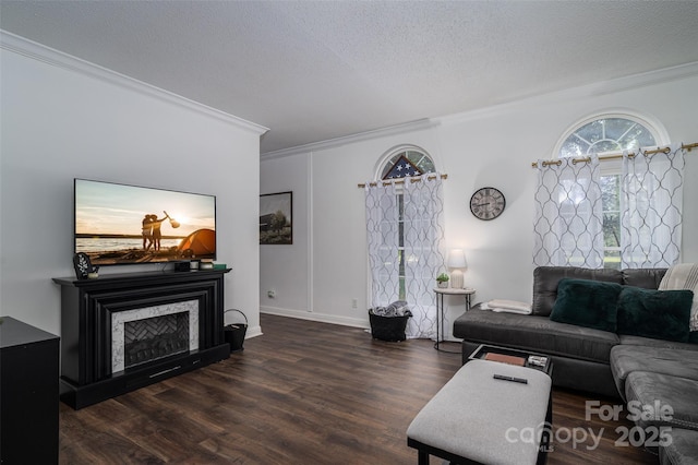 1575 Lewis Farm Rd, Kings Mountain, NC 28086 - living room with ornamental molding, wood finished floors, a fireplace, a textured ceiling, and baseboards