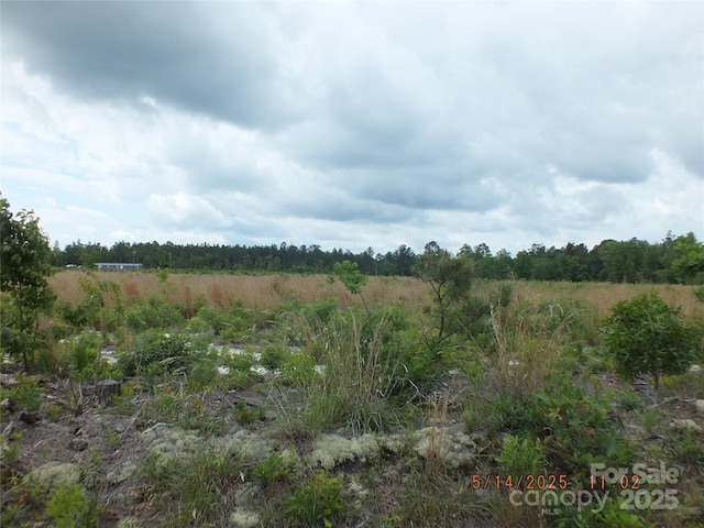 00 Oak Ridge Church Rd, Kershaw, SC 29067 - photo 1