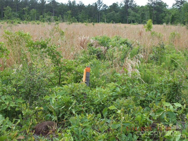 00 Oak Ridge Church Rd, Kershaw, SC 29067 - photo 2