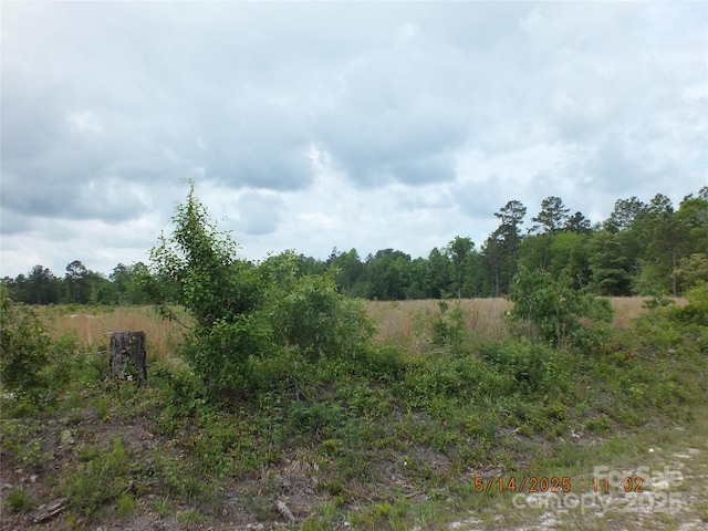 00 Oak Ridge Church Rd, Kershaw, SC 29067 - photo 3