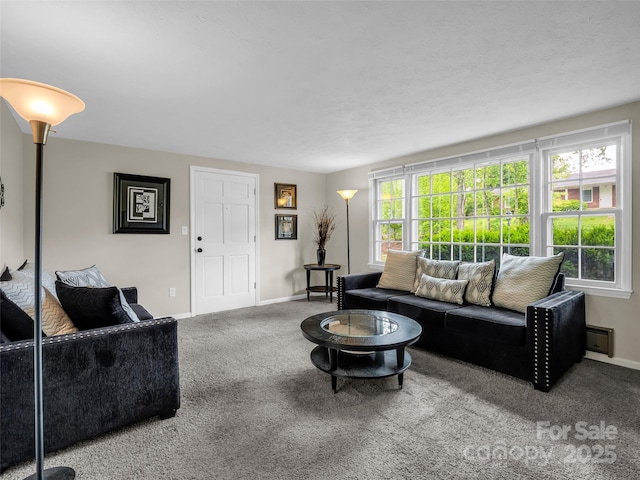 65 Brookside Dr Unit 35, Hendersonville, NC 28792 - living area with carpet floors and baseboards