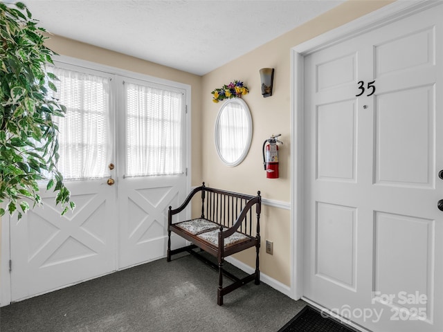 65 Brookside Dr Unit 35, Hendersonville, NC 28792 - foyer entrance featuring dark colored carpet and baseboards