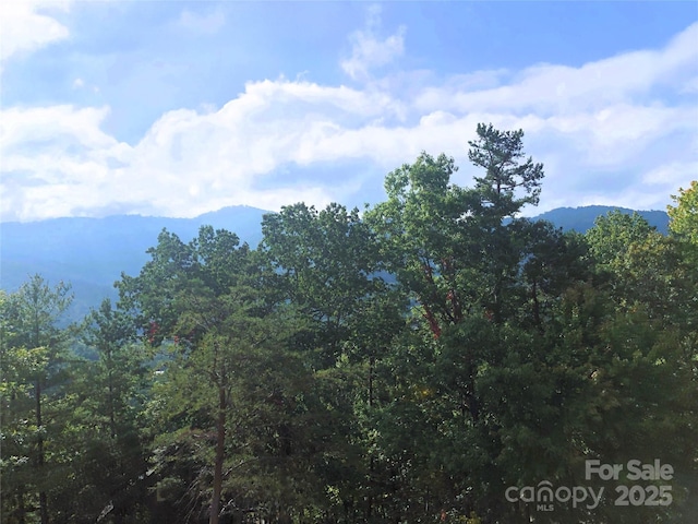 145 Black Oak Dr, Asheville, NC 28804 - photo 11