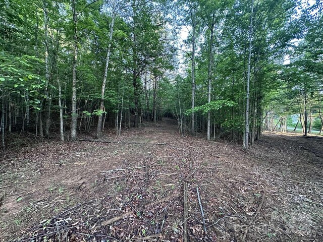 2320 Howard Arnett Rd, Lenoir, NC 28645 - photo 4
