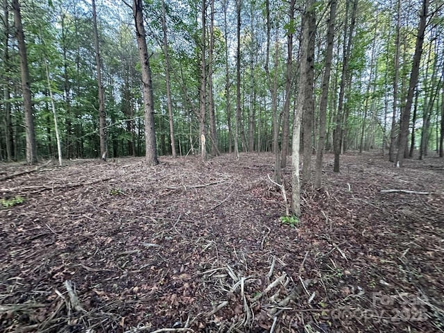 2320 Howard Arnett Rd, Lenoir, NC 28645 - photo 6