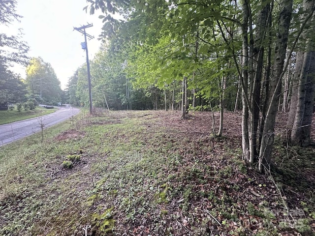 2320 Howard Arnett Rd, Lenoir, NC 28645 - photo 8