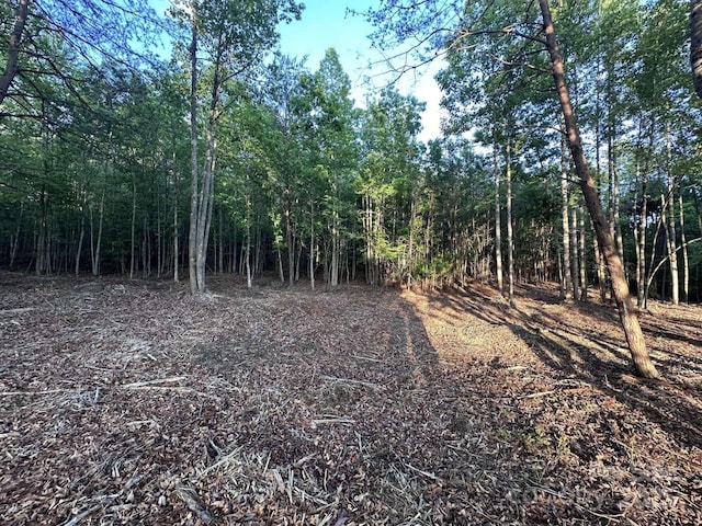 2320 Howard Arnett Rd, Lenoir, NC 28645 - photo 9
