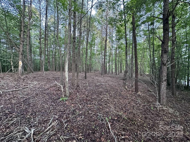 2320 Howard Arnett Rd, Lenoir, NC 28645 - photo 10