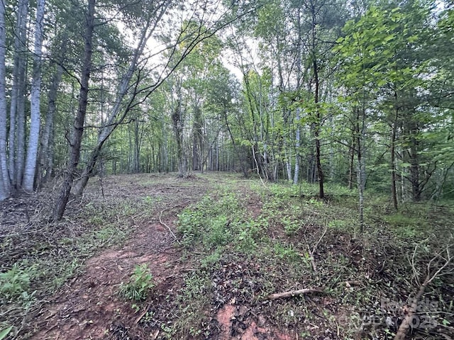 2320 Howard Arnett Rd, Lenoir, NC 28645 - photo 11
