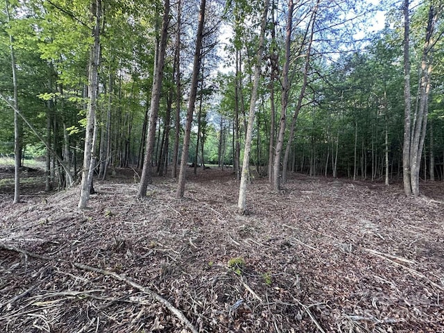 2320 Howard Arnett Rd, Lenoir, NC 28645 - photo 12