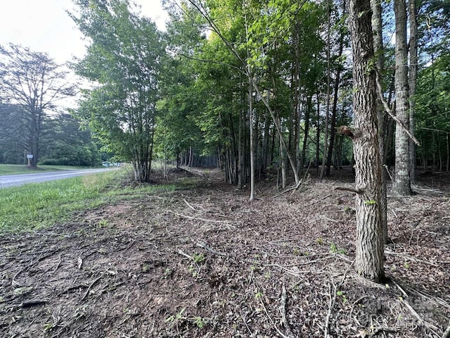 2320 Howard Arnett Rd, Lenoir, NC 28645 - photo 13
