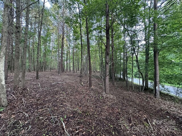 2320 Howard Arnett Rd, Lenoir, NC 28645 - photo 14