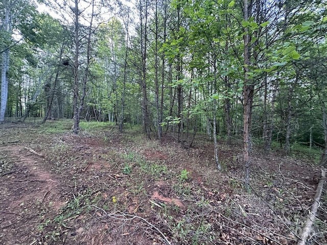 2320 Howard Arnett Rd, Lenoir, NC 28645 - photo 16