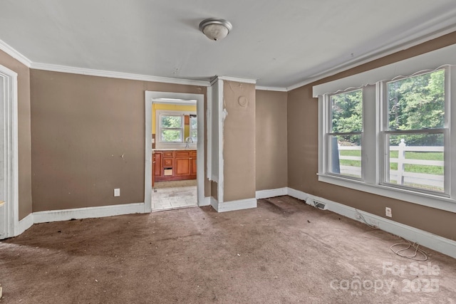 spare room with ornamental molding, baseboards, plenty of natural light, carpet, and a sink