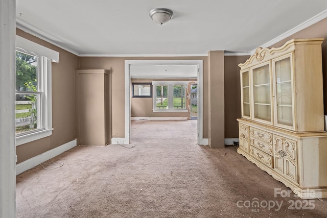 corridor with plenty of natural light, carpet flooring, crown molding, and baseboards