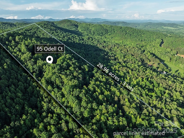 95 Odell Ct, Taylorsville, NC 28681 - photo 40