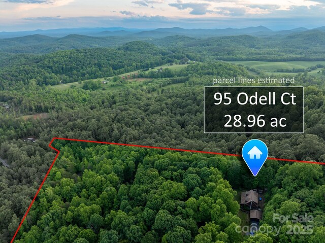 95 Odell Ct, Taylorsville, NC 28681 - photo 42