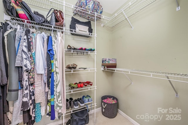 5208 Black Oak Ln, Waxhaw, NC 28173 - walk in closet featuring carpet floors