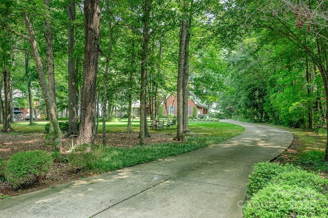 5208 Black Oak Ln, Waxhaw, NC 28173 - view of surrounding community
