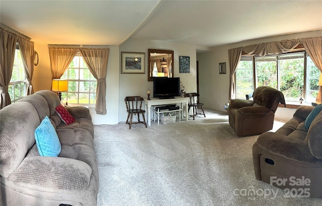 184 Fair Park Dr, Blowing Rock, NC 28605 - living area featuring carpet flooring