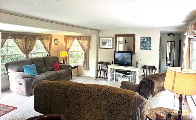 184 Fair Park Dr, Blowing Rock, NC 28605 - view of carpeted living room