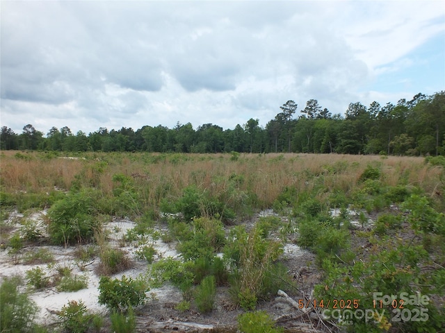 000 Oak Ridge Church Rd, Kershaw, SC 29067 - photo 1